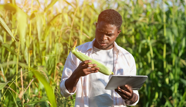 Agribusiness Consulting