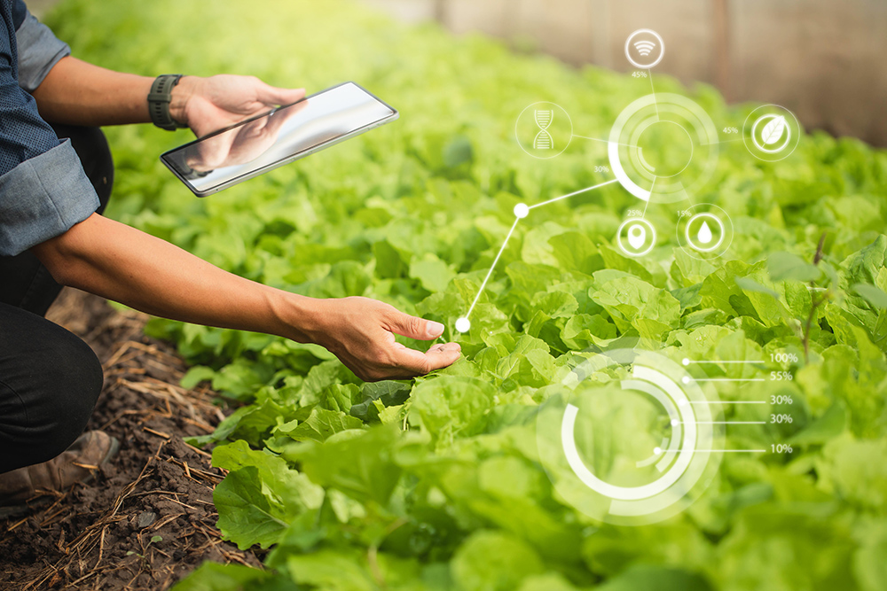 Farm Management