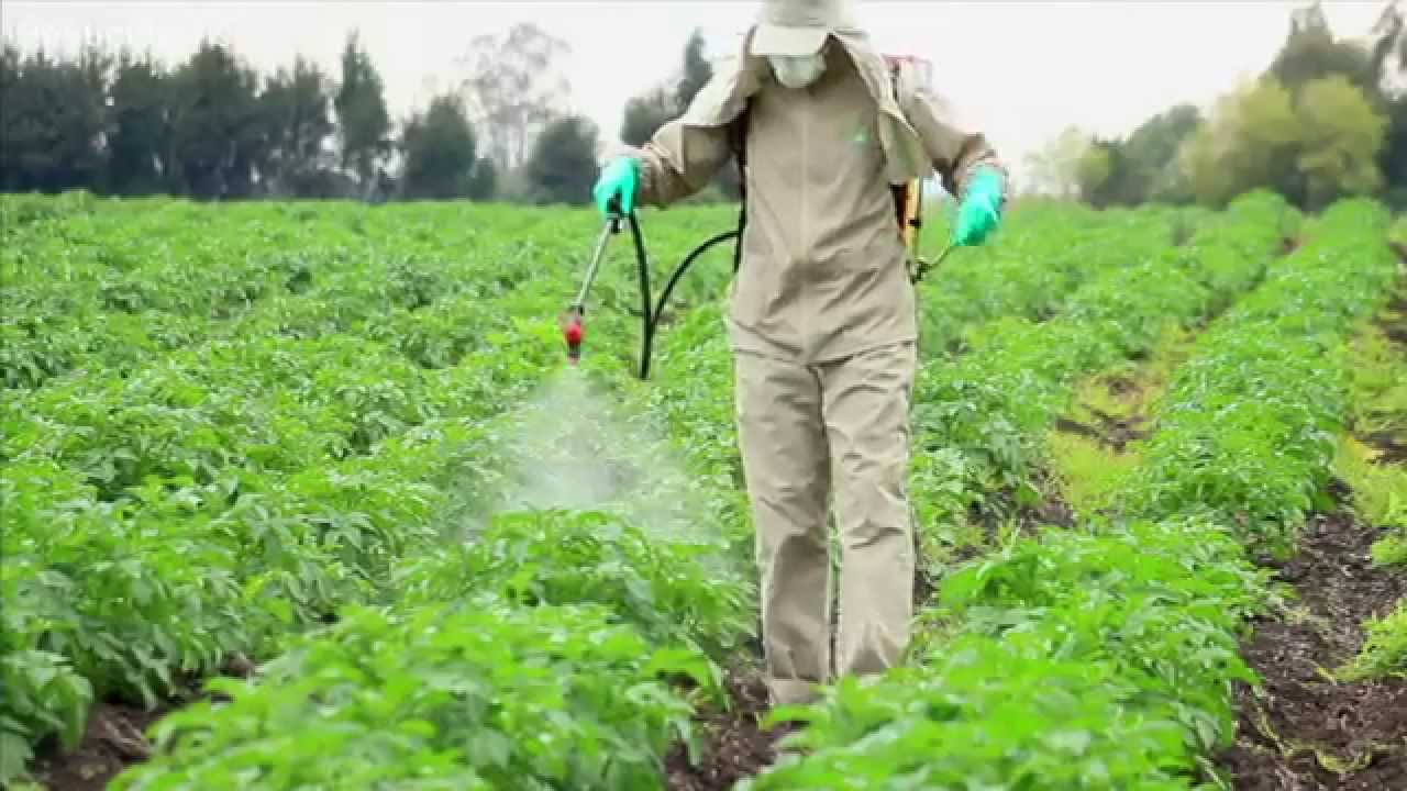 Agro Input Distribution