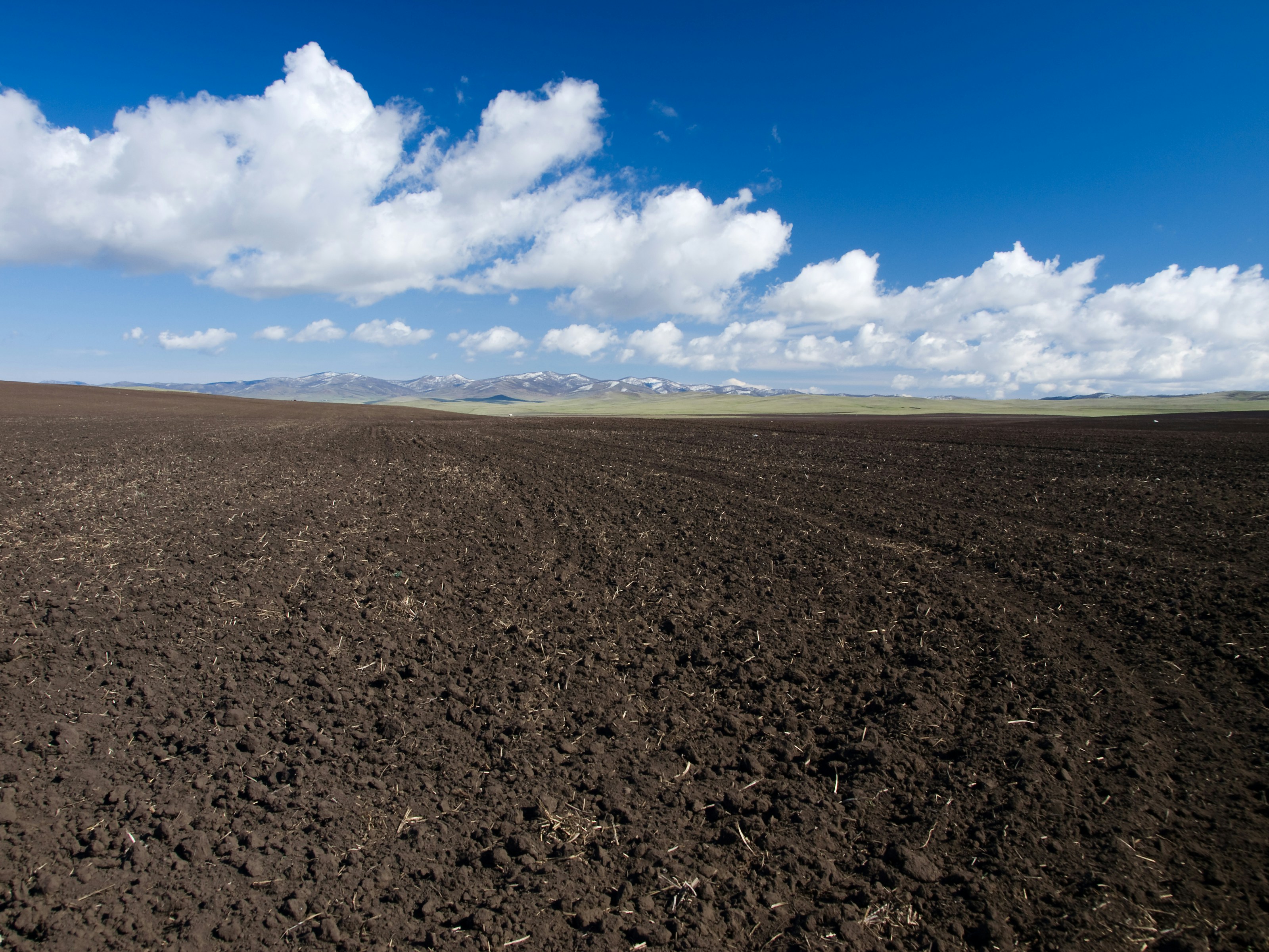 Soil Conservation